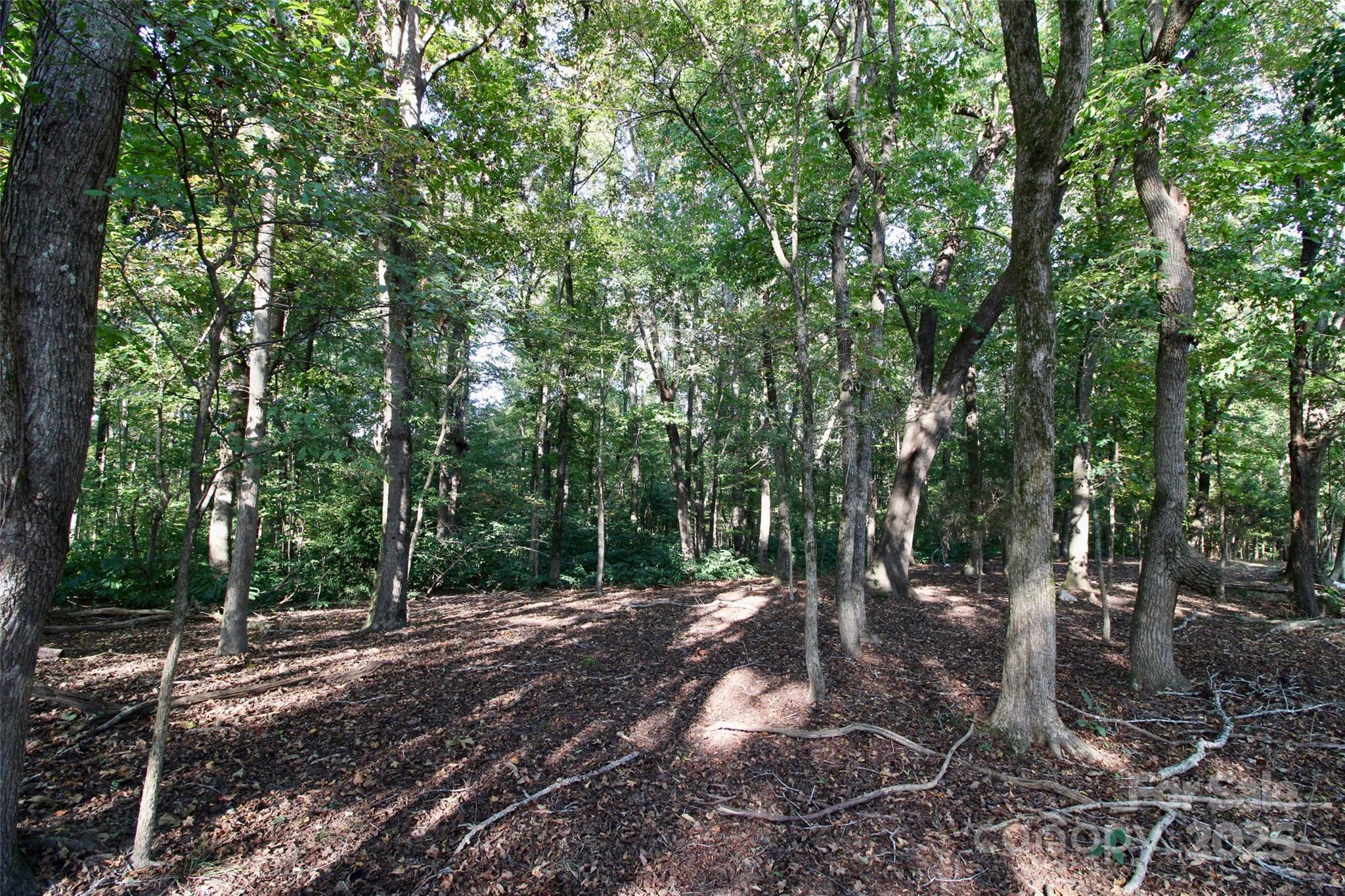 11+/- Ac Chester Highway Property Photo 22