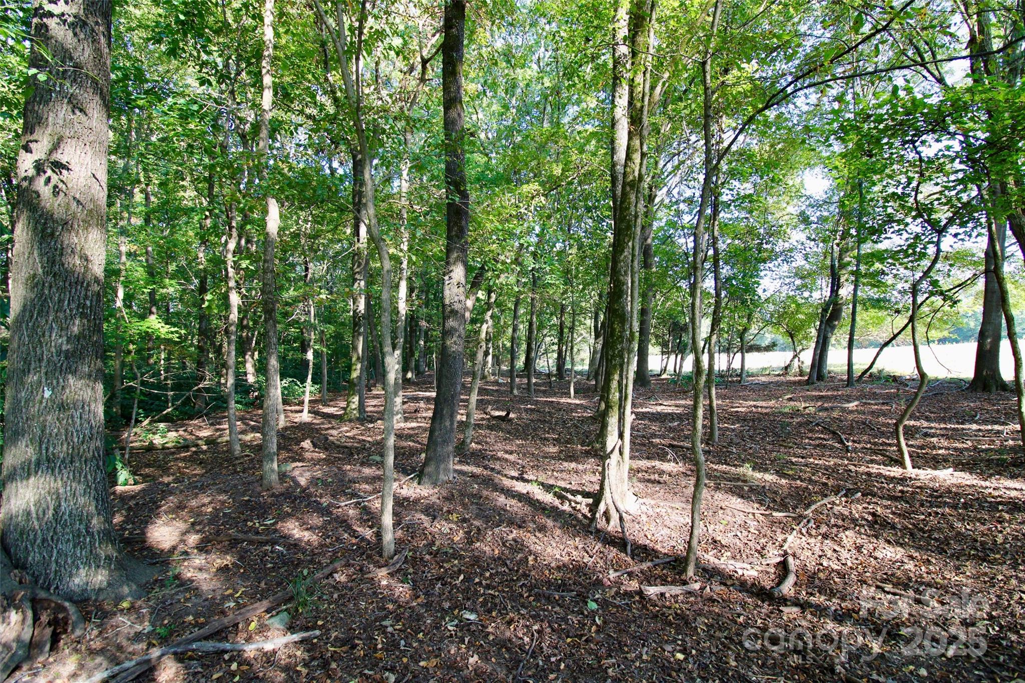 11+/- Ac Chester Highway Property Photo 23
