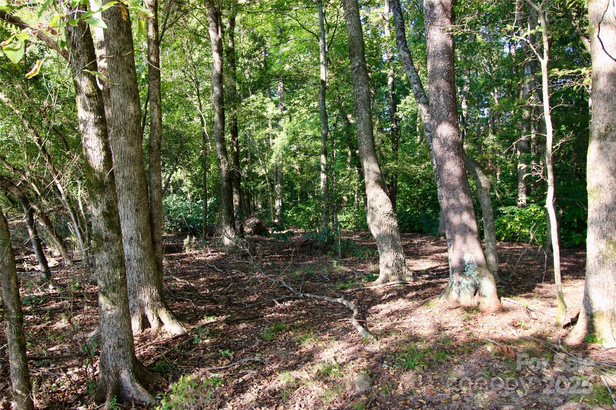 11+/- Ac Chester Highway Property Photo 24