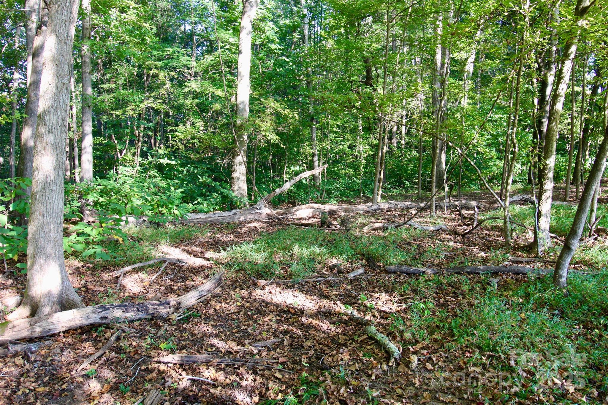 11+/- Ac Chester Highway Property Photo 25