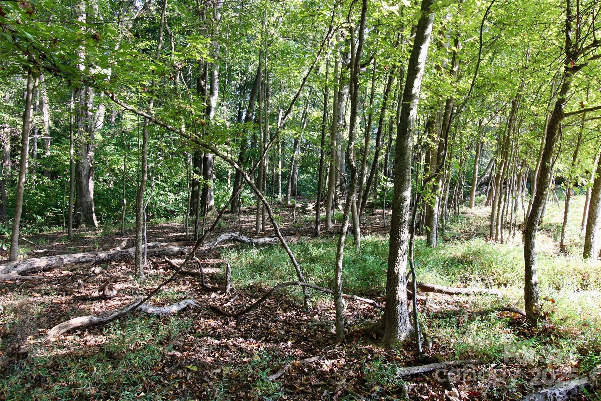 11+/- Ac Chester Highway Property Photo 26