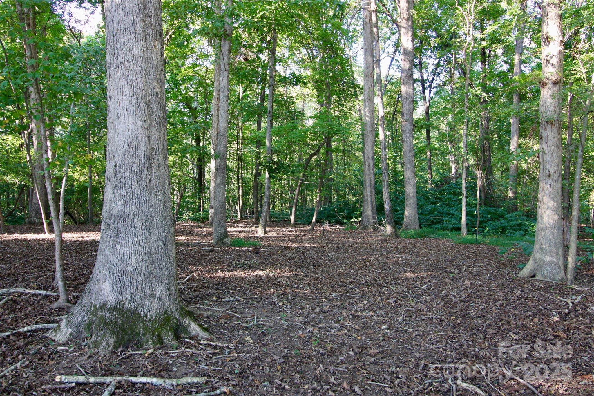 11+/- Ac Chester Highway Property Photo 27