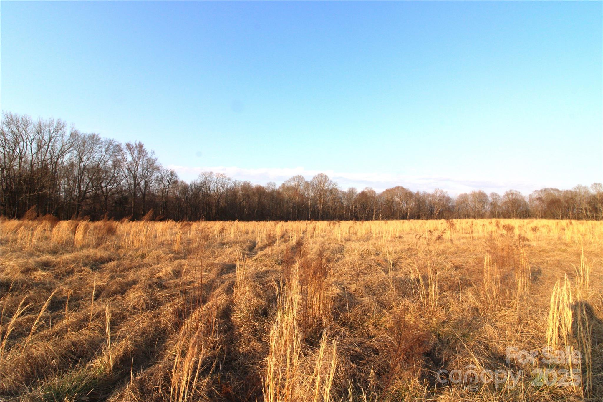11+/- Ac Chester Highway Property Photo 28