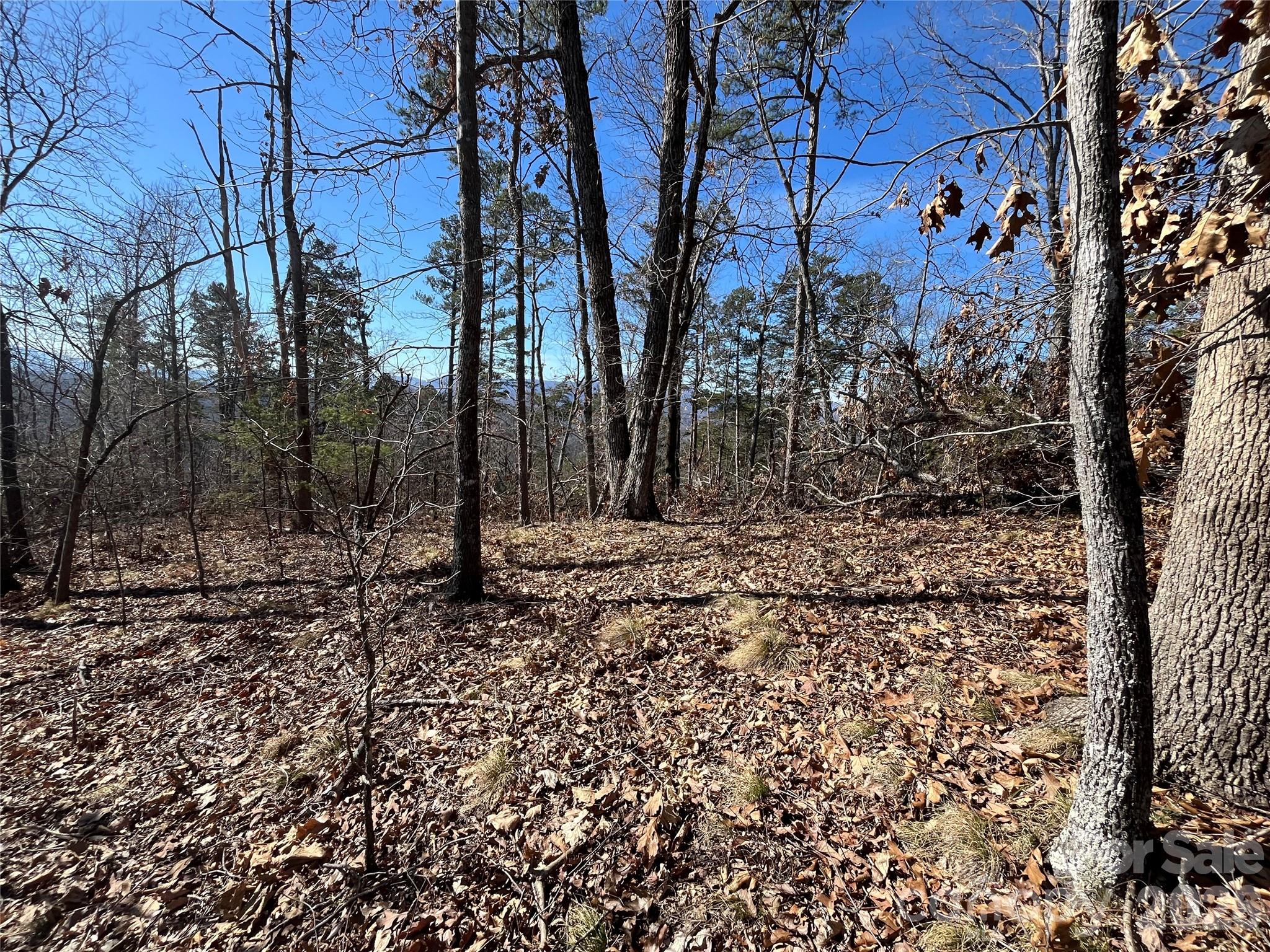 0 Bills Mountain Trail 7 Property Photo 2