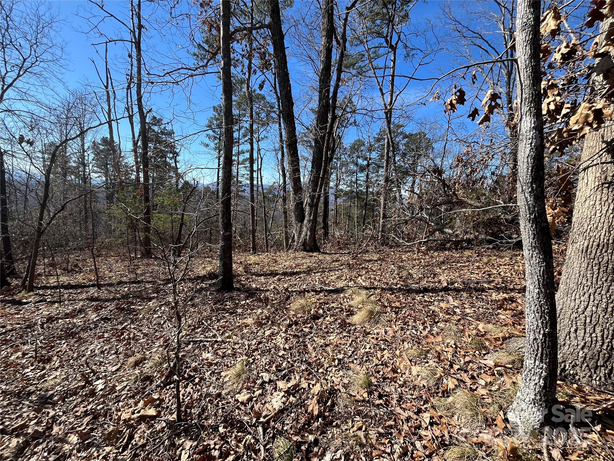 0 Bills Mountain Trail 7 Property Photo 3