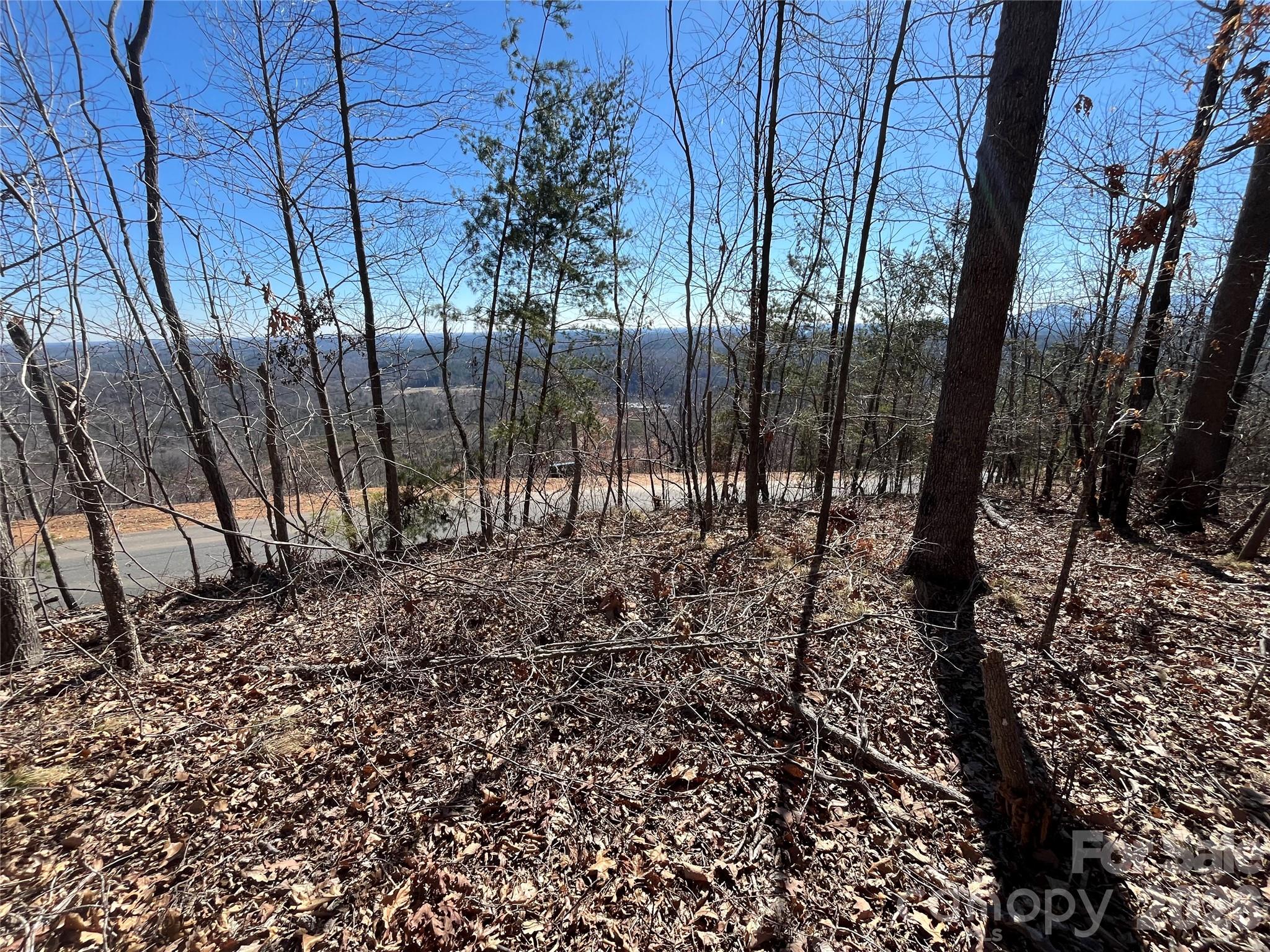 0 Bills Mountain Trail 7 Property Photo 3