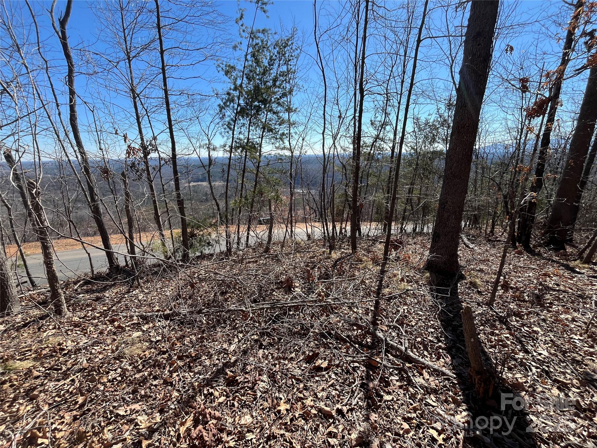 0 Bills Mountain Trail 7 Property Photo 4