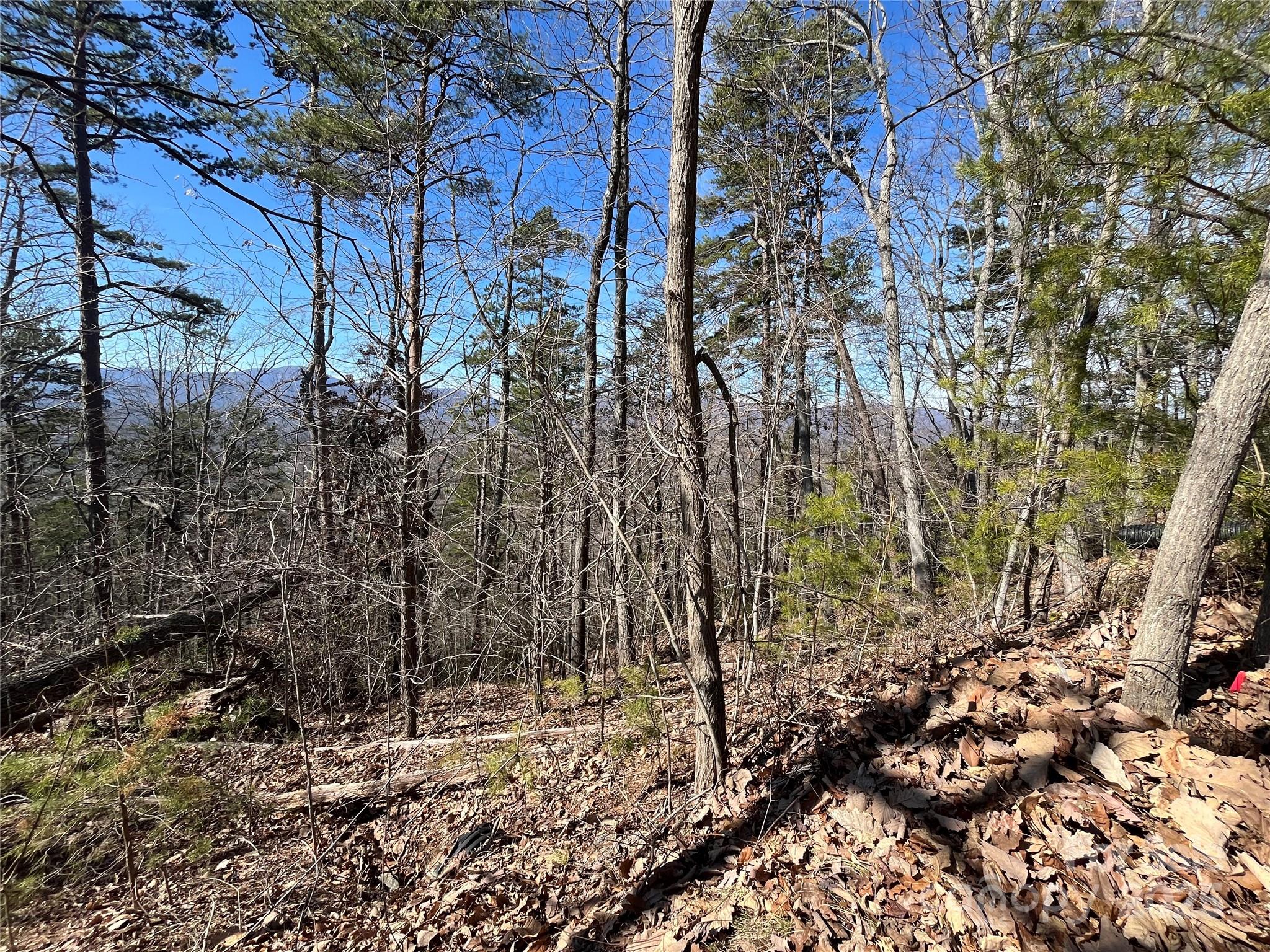 0 Bills Mountain Trail 7 Property Photo 6