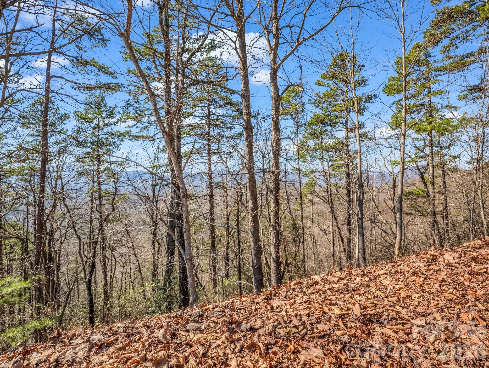 0 Bills Mountain Trail 7 Property Photo 7