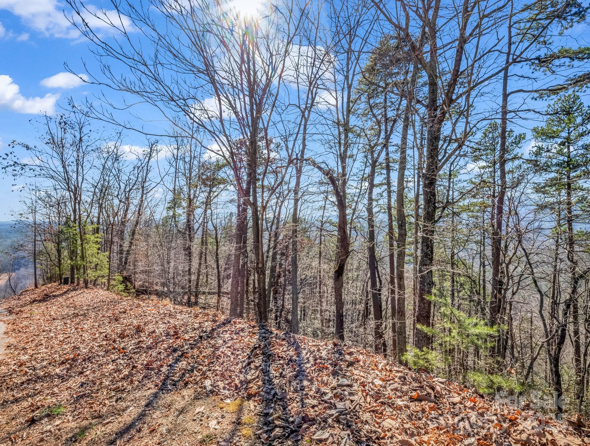 0 Bills Mountain Trail 7 Property Photo 8
