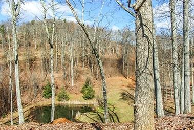 0 Bills Mountain Trail 7 Property Photo 20