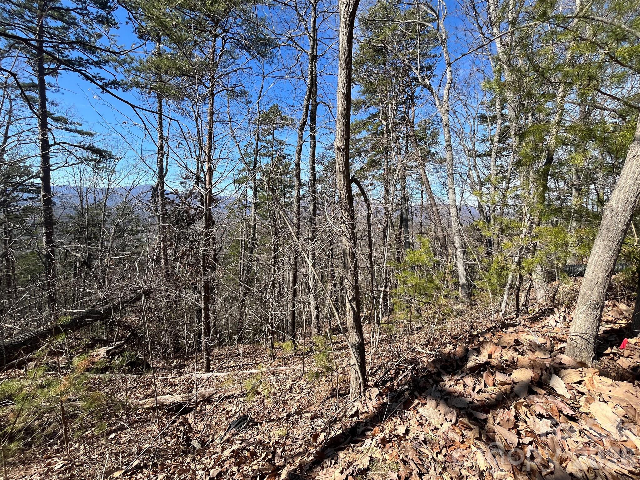 0 Bills Mountain Trail 7 Property Photo 22
