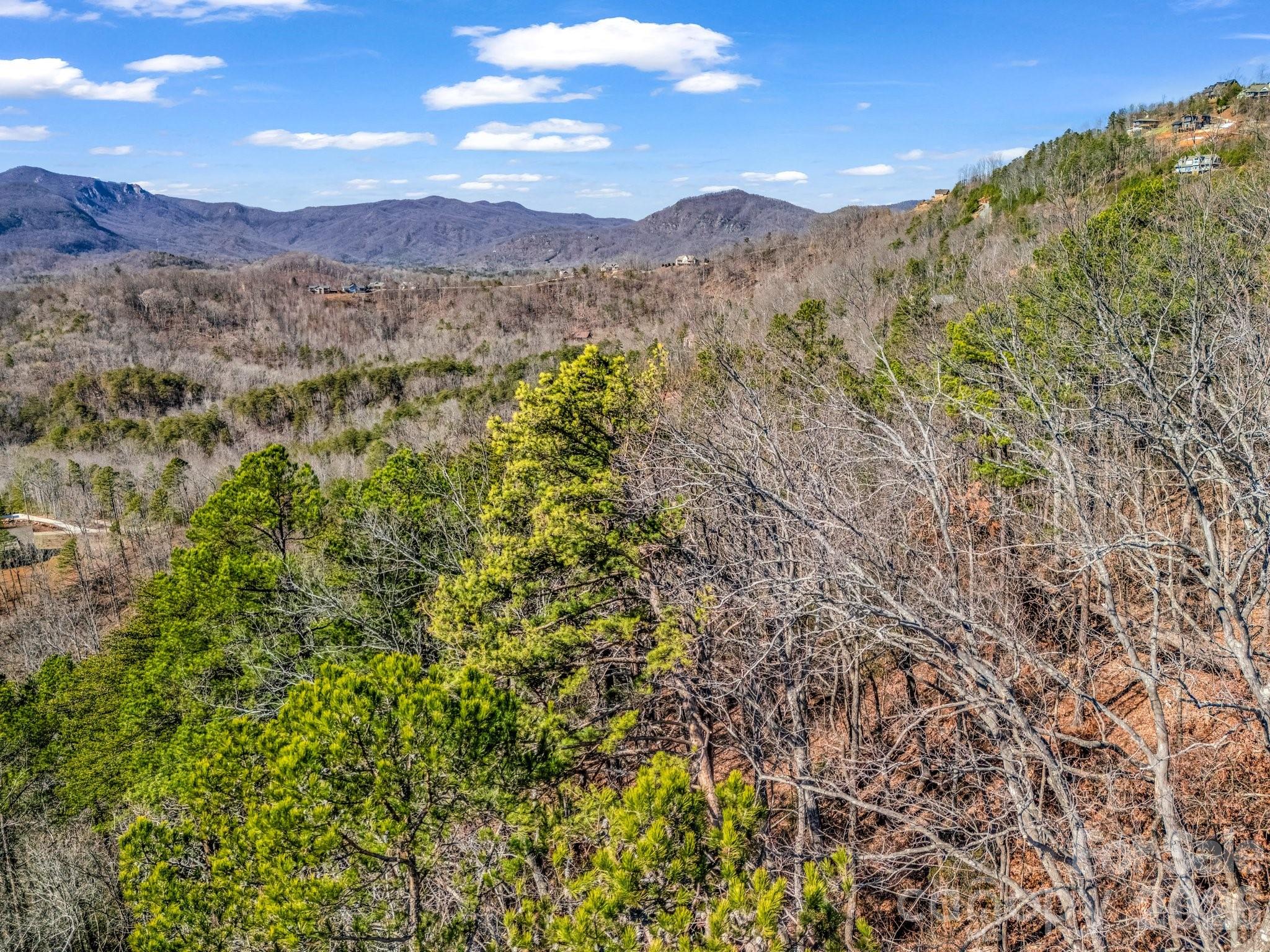0 Bills Mountain Trail 7 Property Photo 24