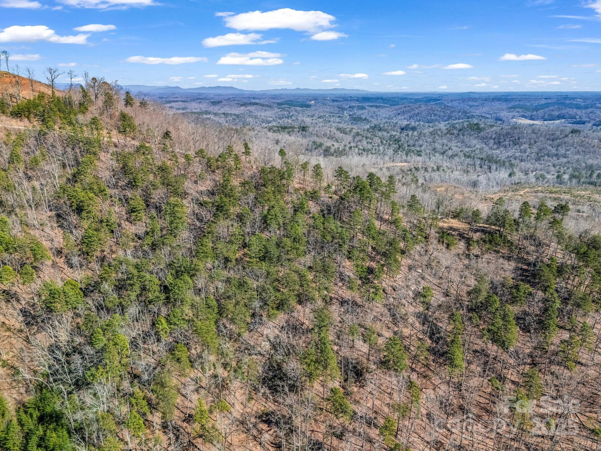 0 Bills Mountain Trail 7 Property Photo 37