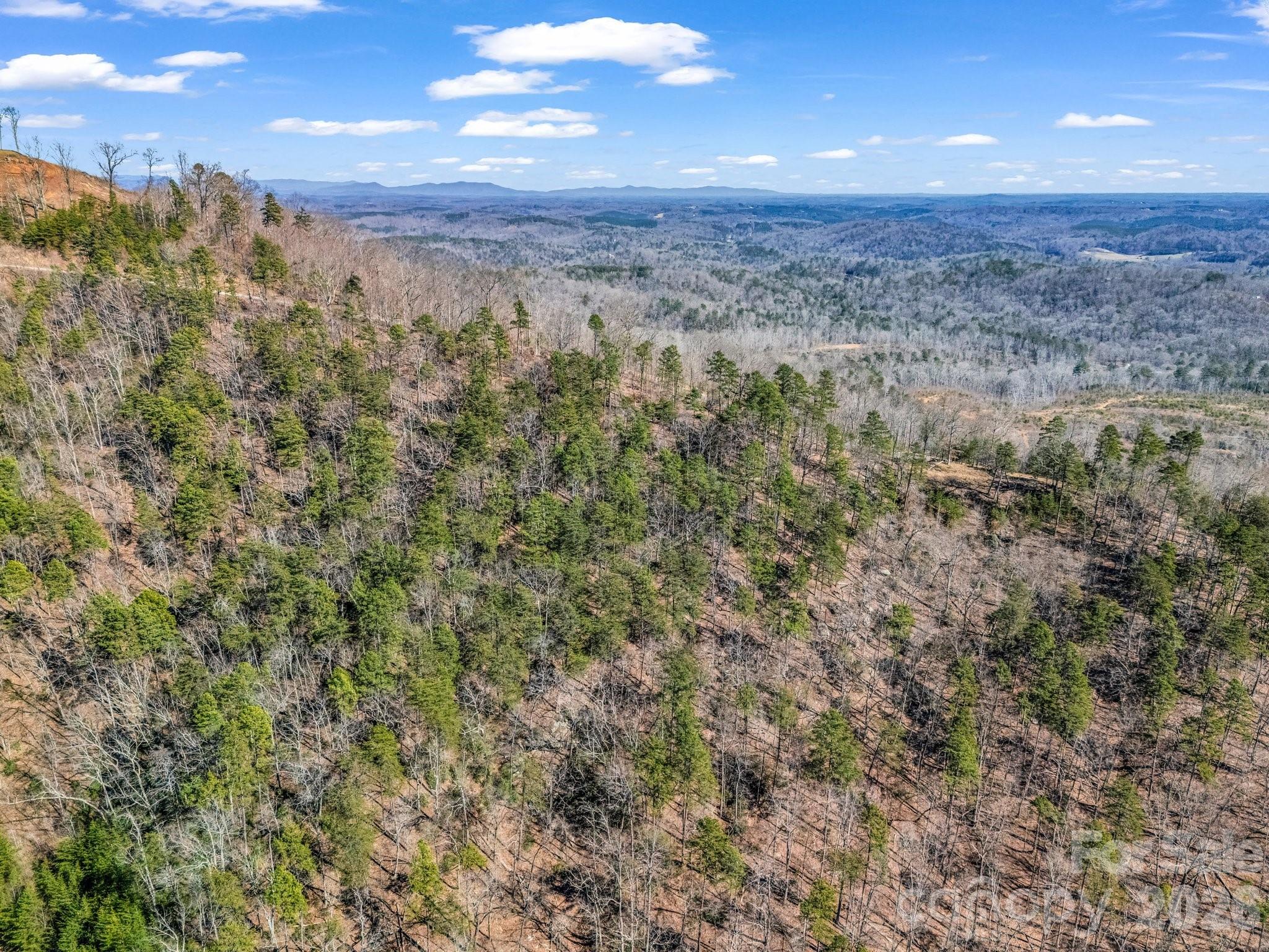 0 Bills Mountain Trail 7 Property Photo 37