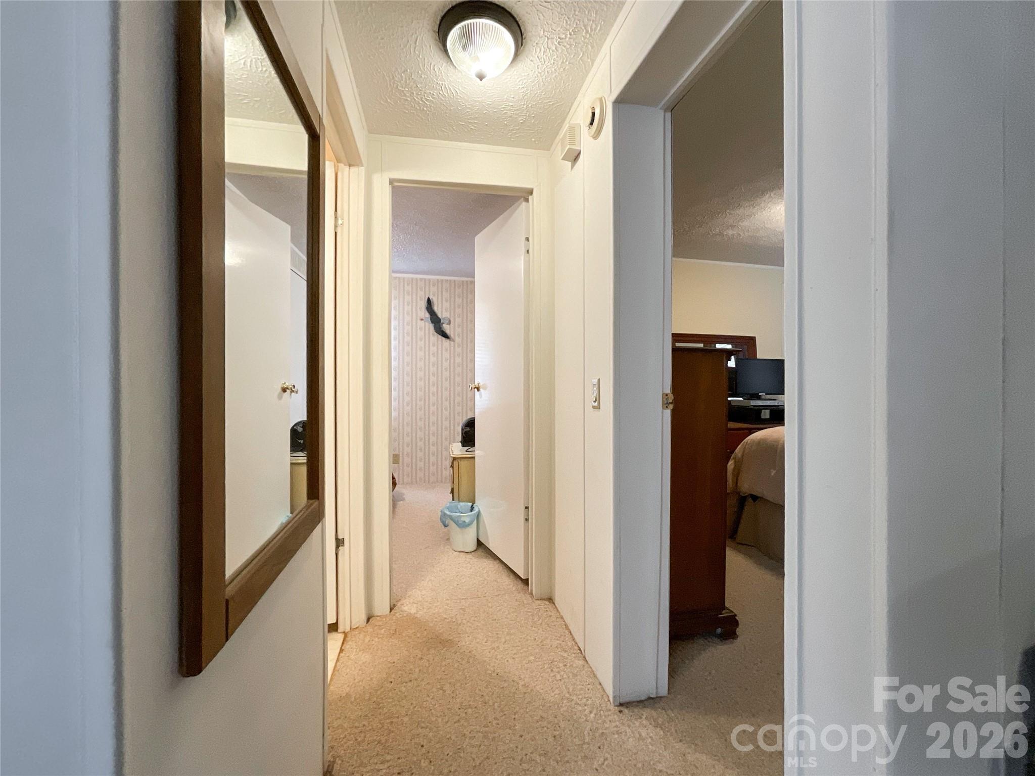 2329 Dolan Lane Property Photo 14