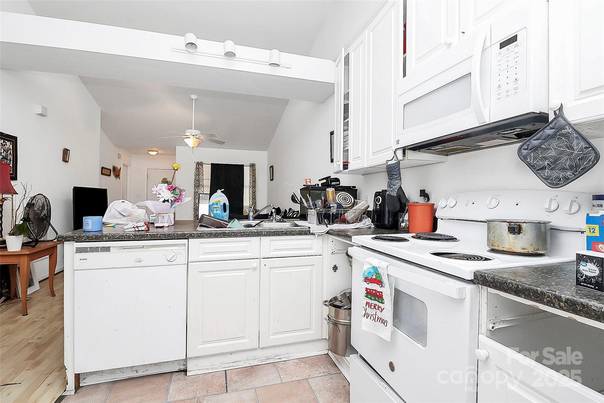307 W Mcneely Avenue Property Photo 14