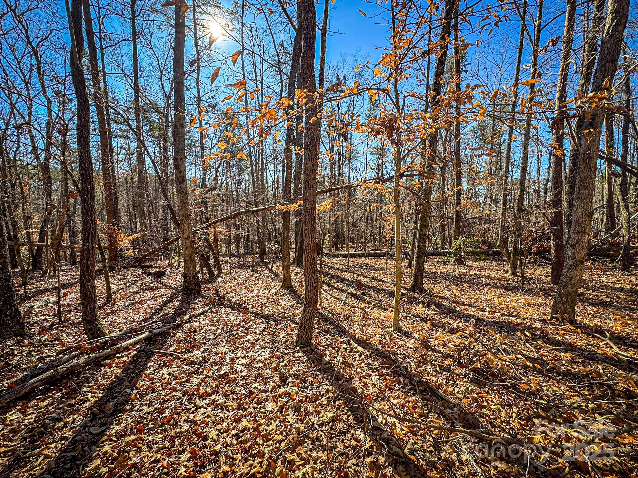 1, 2 & 3 Polk County Line Road Property Photo 22