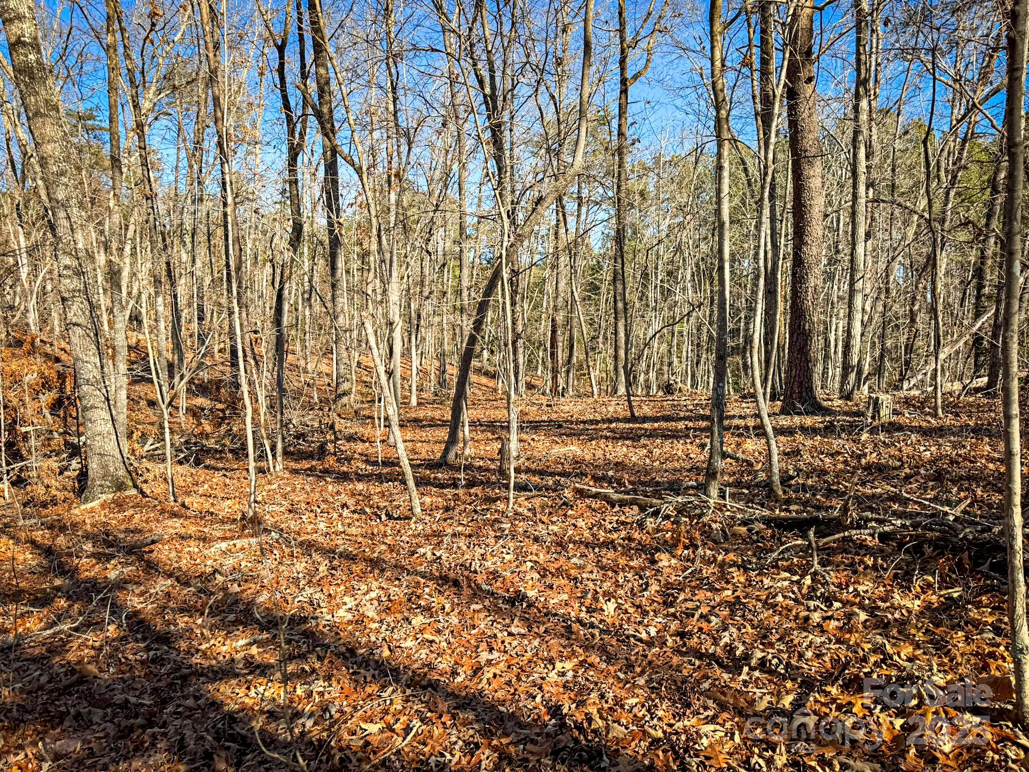 1, 2 & 3 Polk County Line Road Property Photo 25