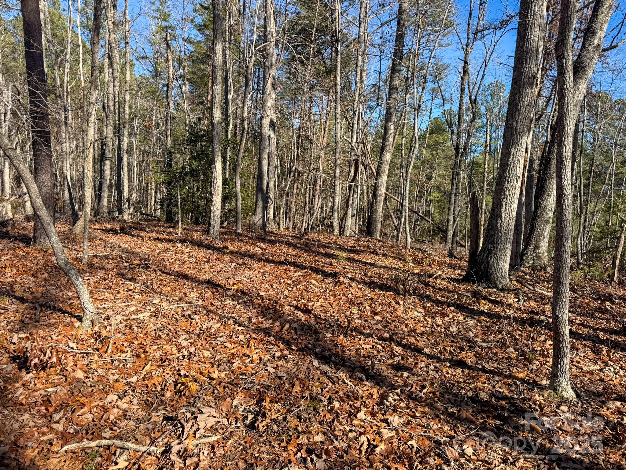 1, 2 & 3 Polk County Line Road Property Photo 27
