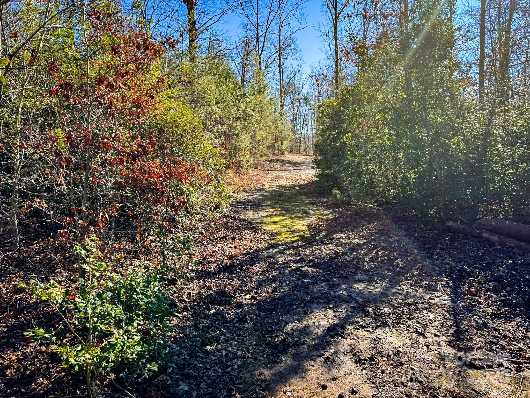 1, 2 & 3 Polk County Line Road Property Photo 35