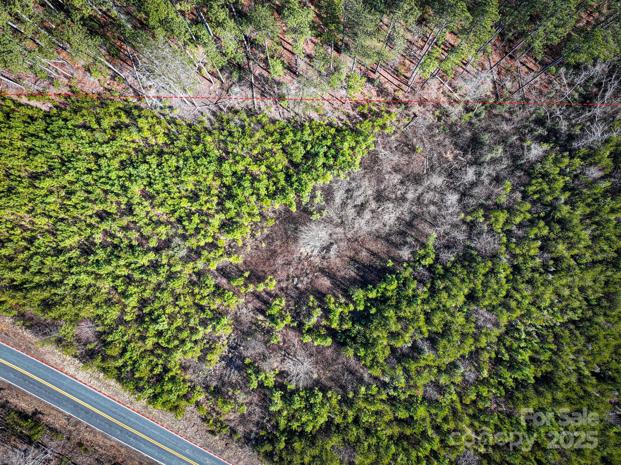 3 & 4 Polk County Line Road Property Photo 19