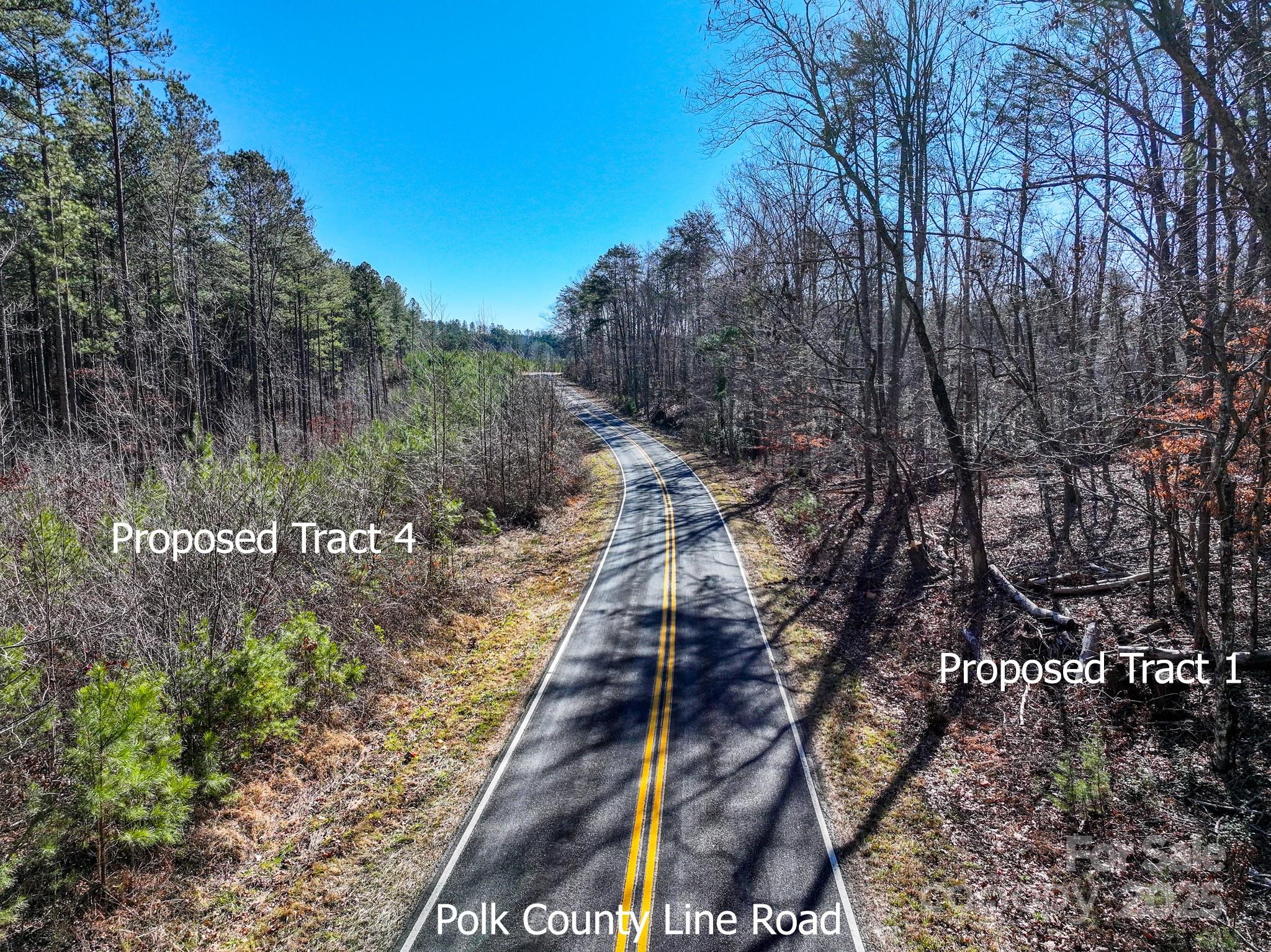Tract 1 Polk County Line Road Property Photo