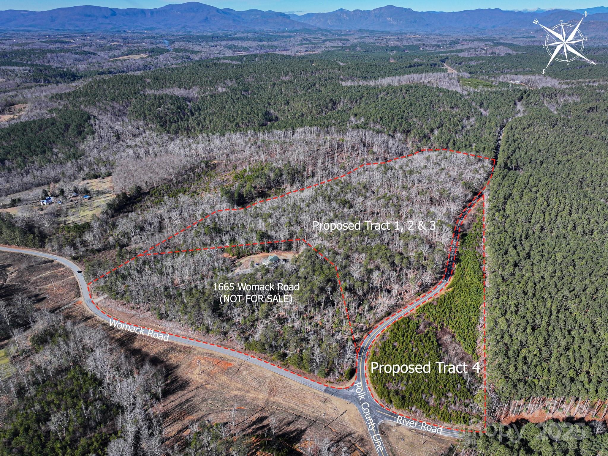 Tract 1 Polk County Line Road Property Photo 5
