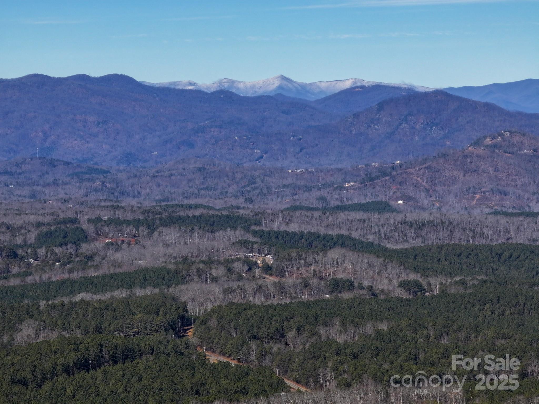 Tract 1 Polk County Line Road Property Photo 8