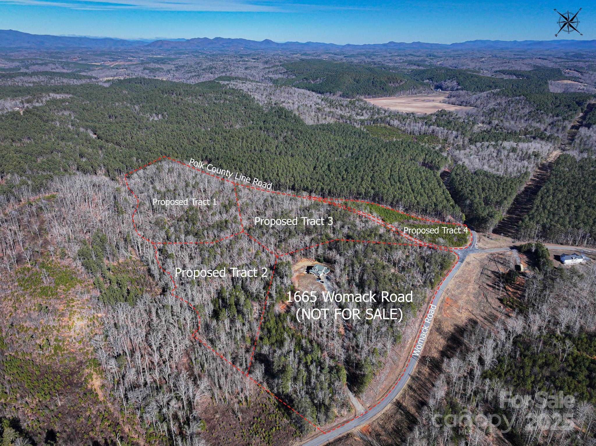 Tract 1 Polk County Line Road Property Photo 10