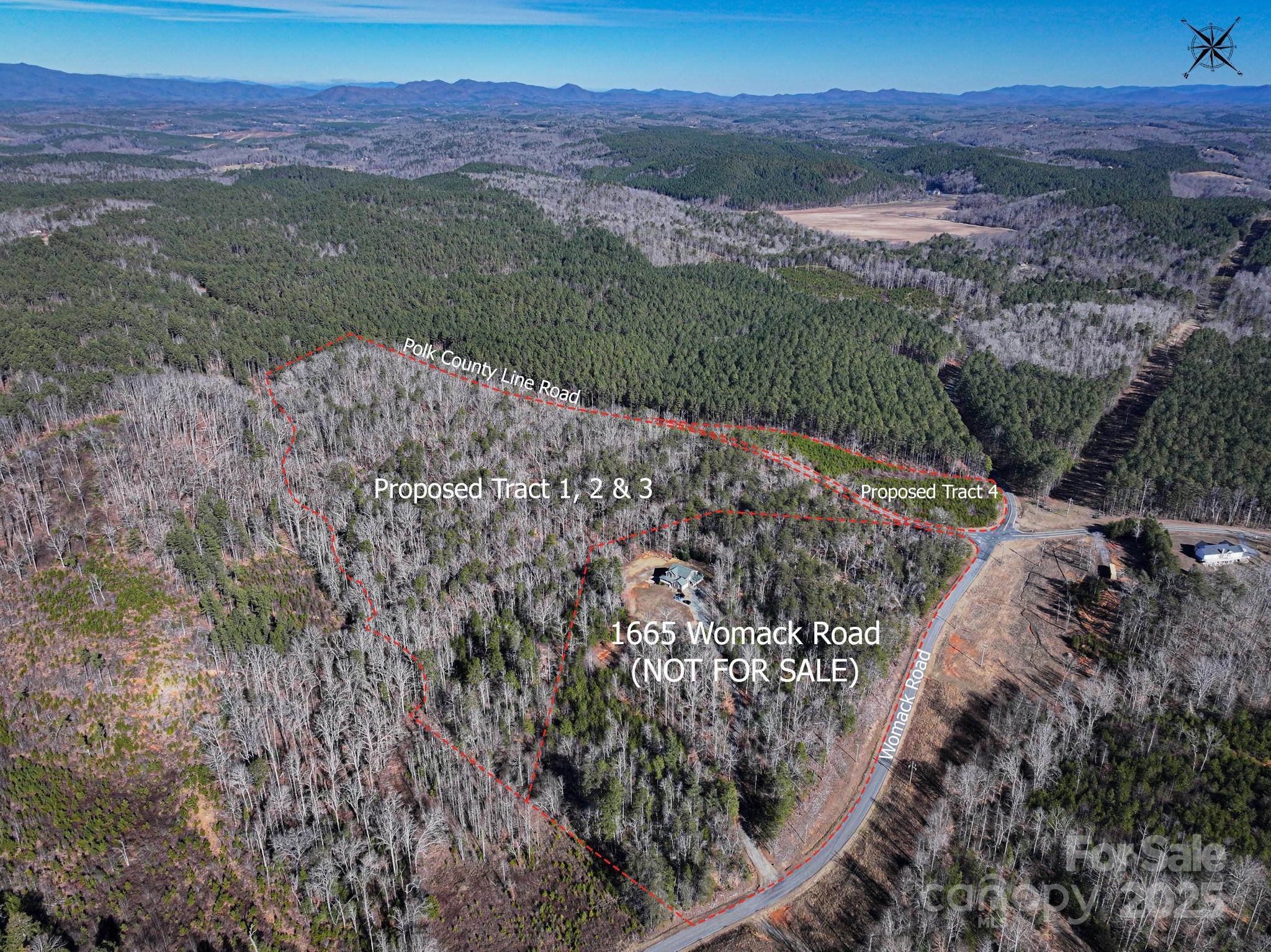 Tract 1 Polk County Line Road Property Photo 11