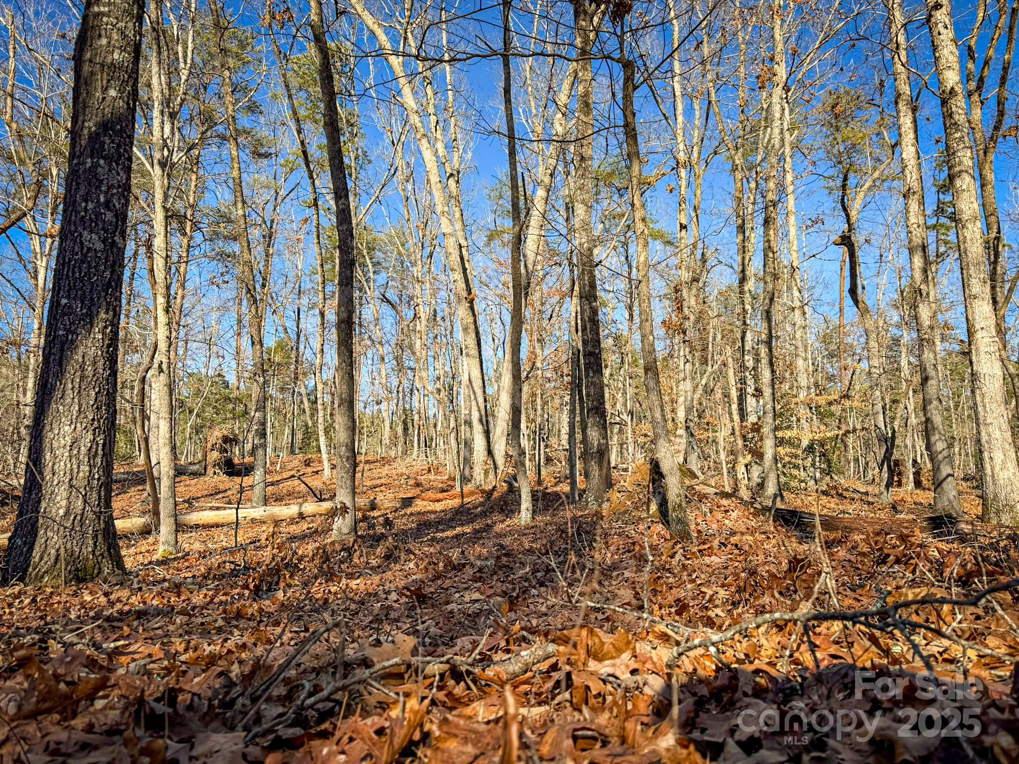 Tract 1 Polk County Line Road Property Photo 25