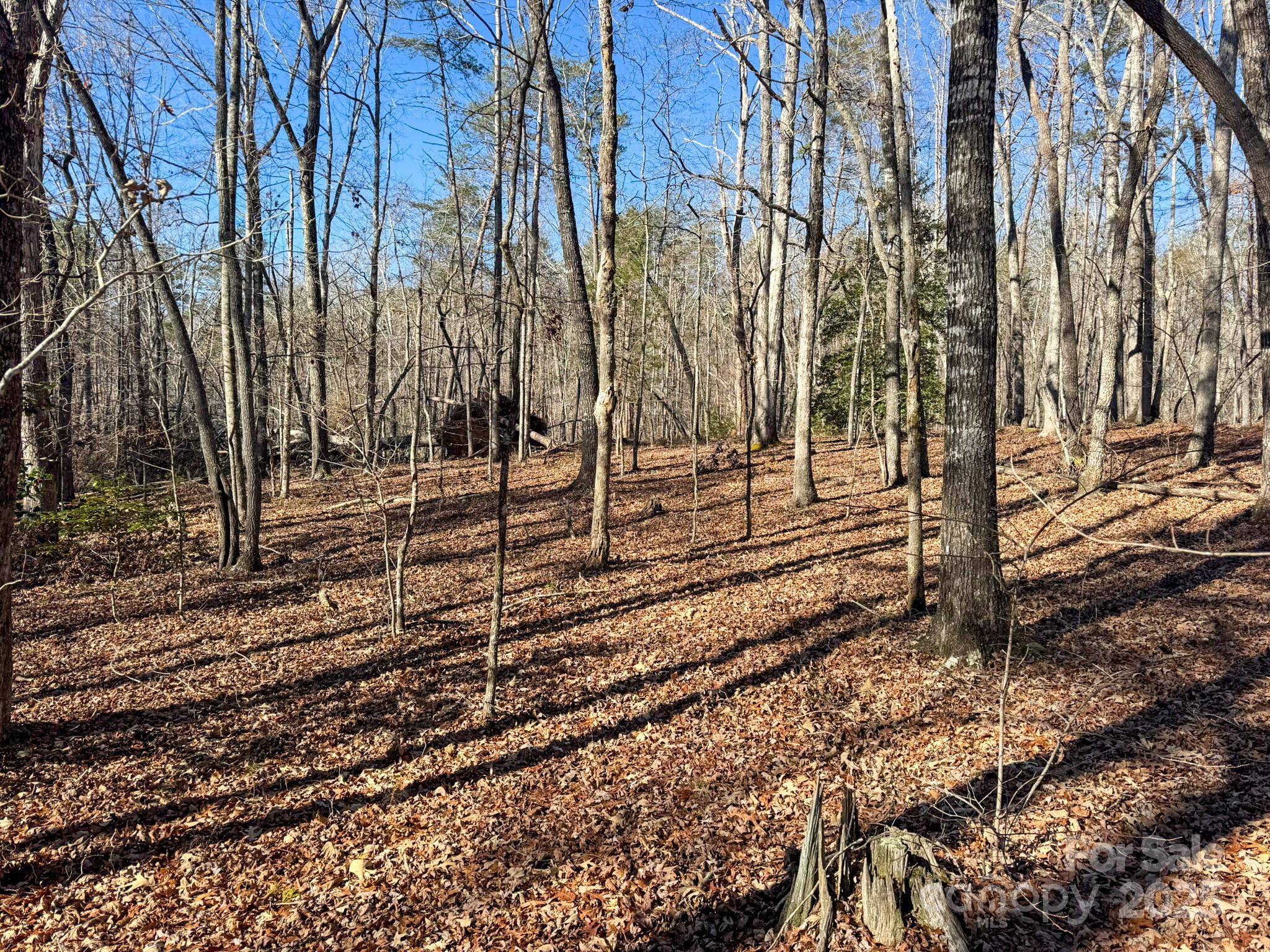 Tract 1 Polk County Line Road Property Photo 33