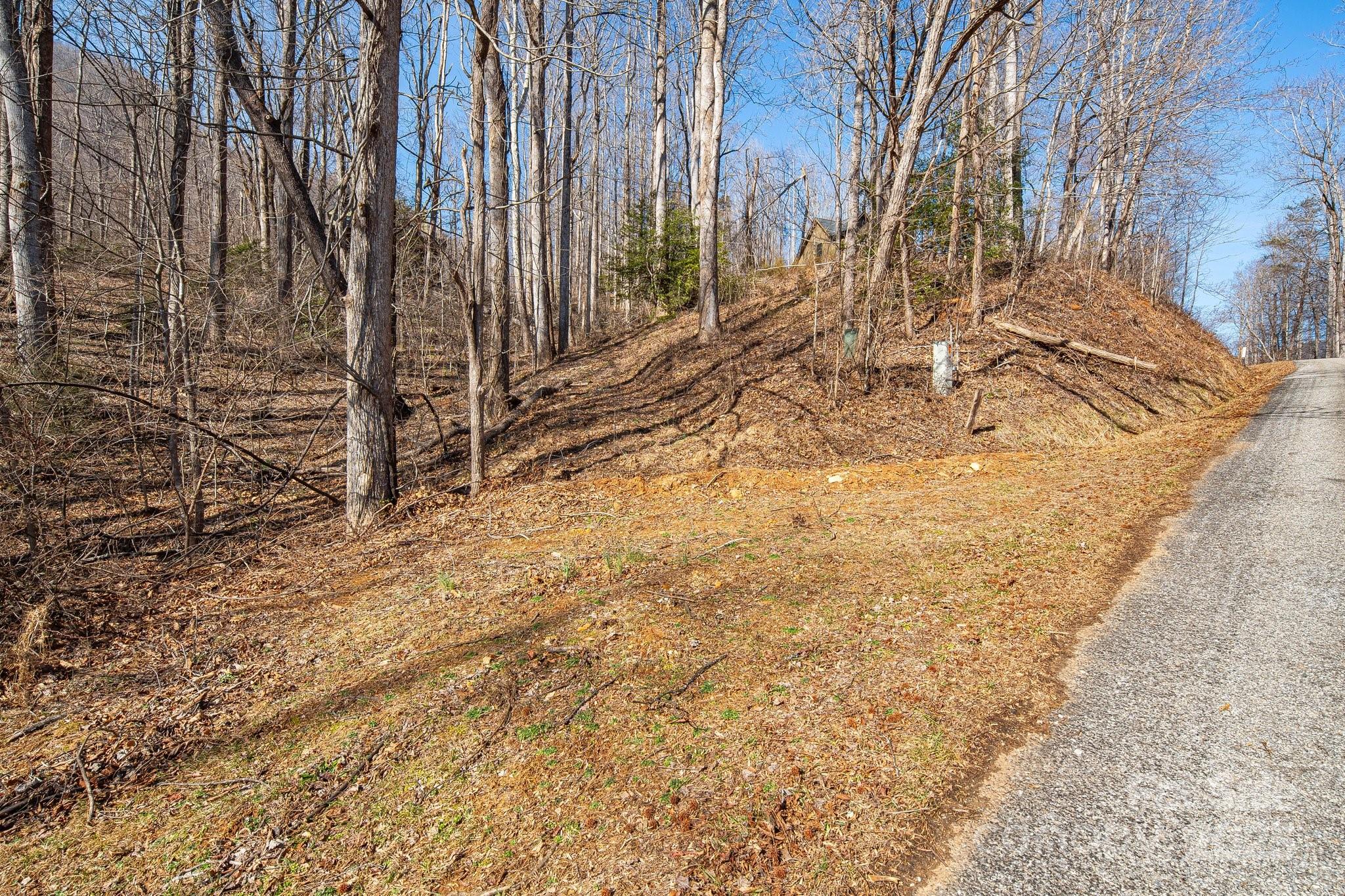 000 Blue Ridge Drive 164 Property Photo 2