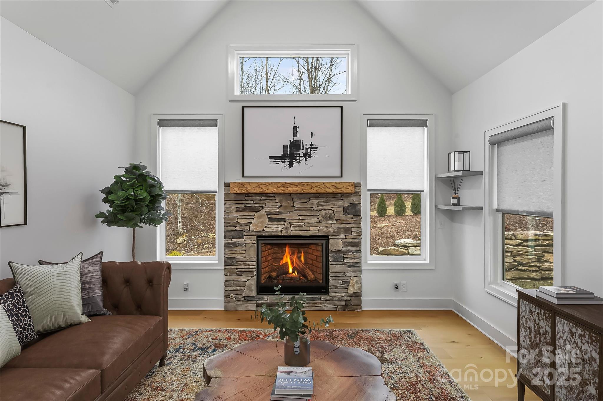 241 Millbrae Loop Property Photo 3