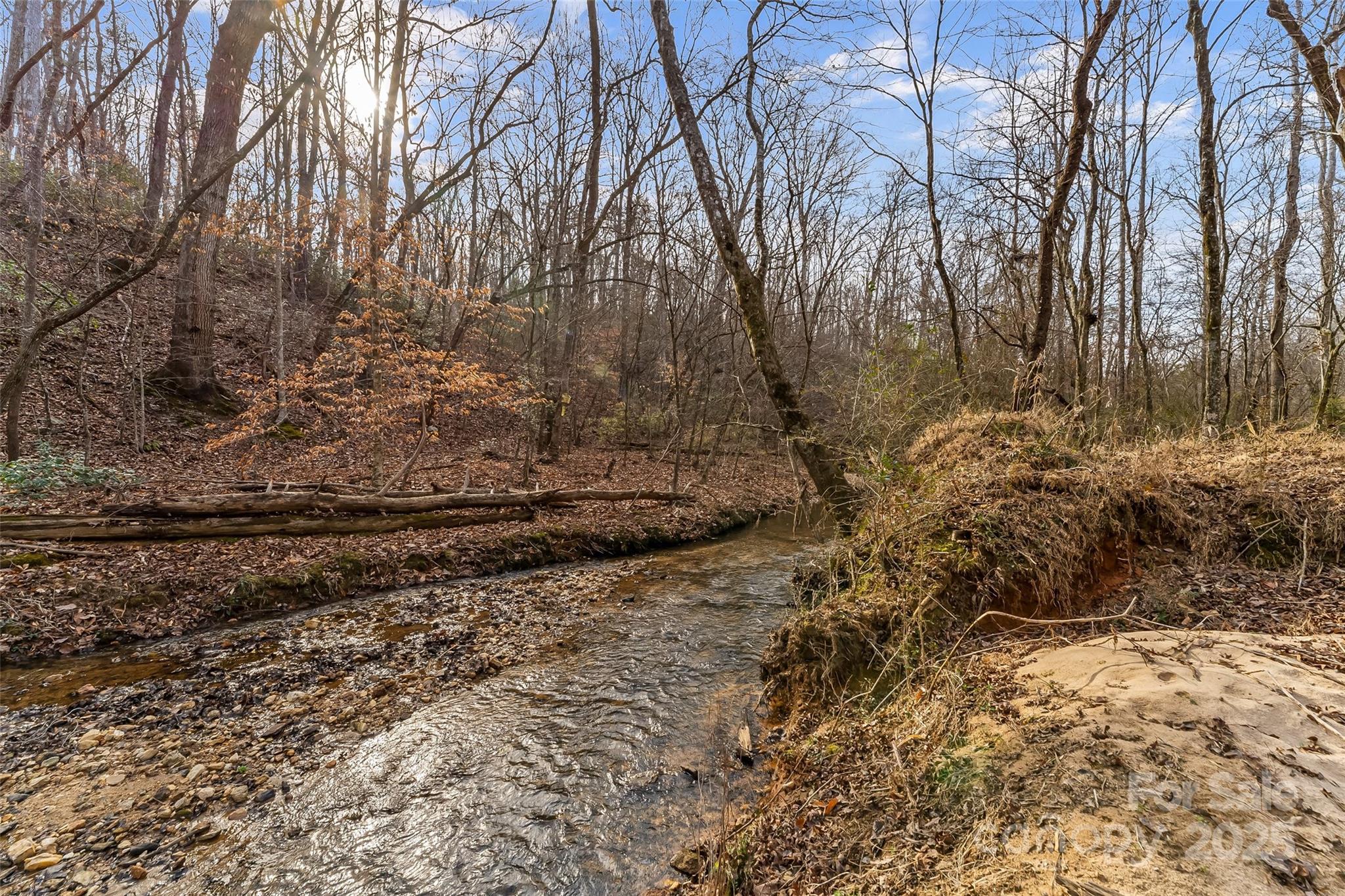 173 & 207 Deer Creek Trail Property Photo 4