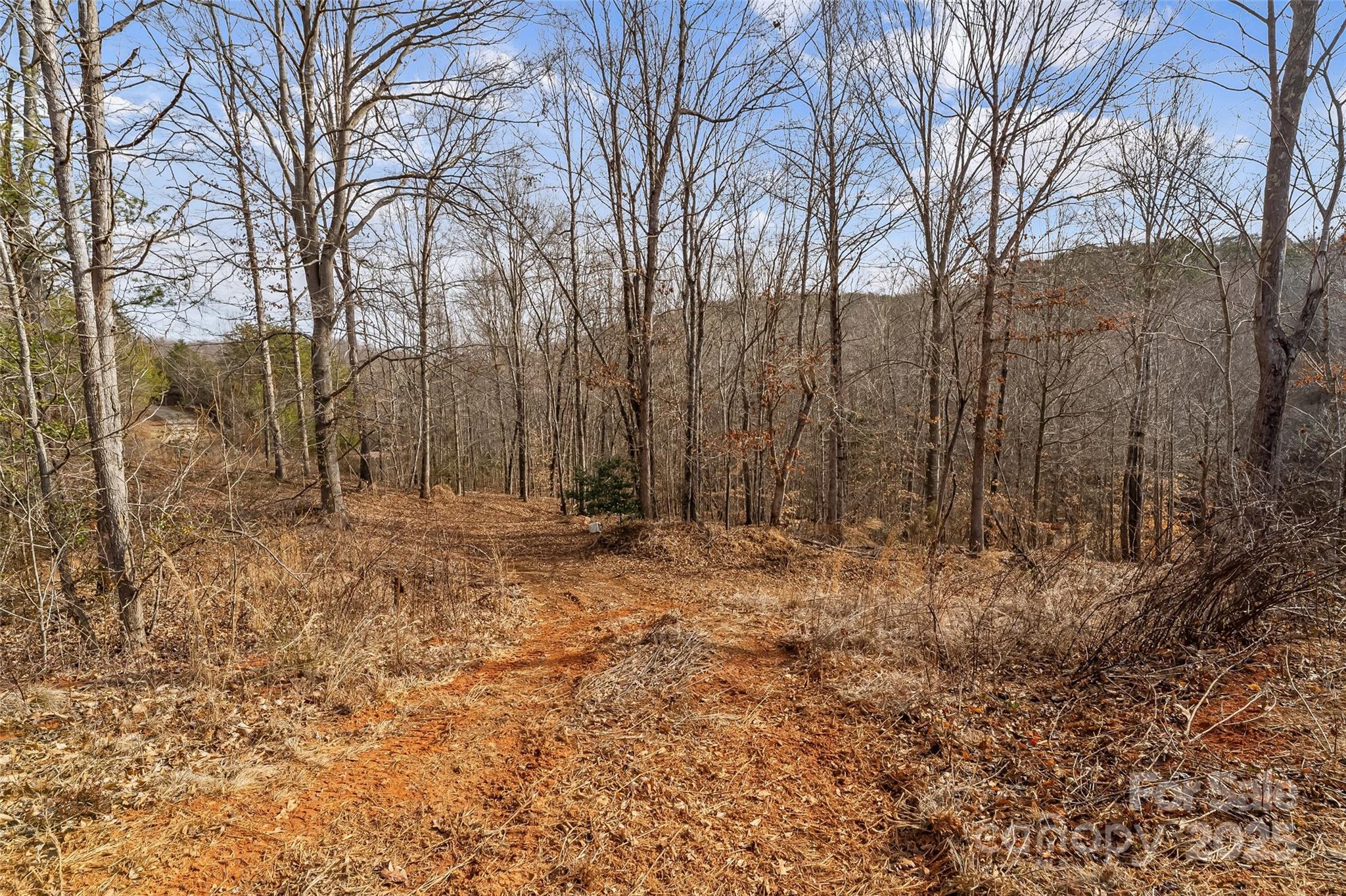 173 & 207 Deer Creek Trail Property Photo 5
