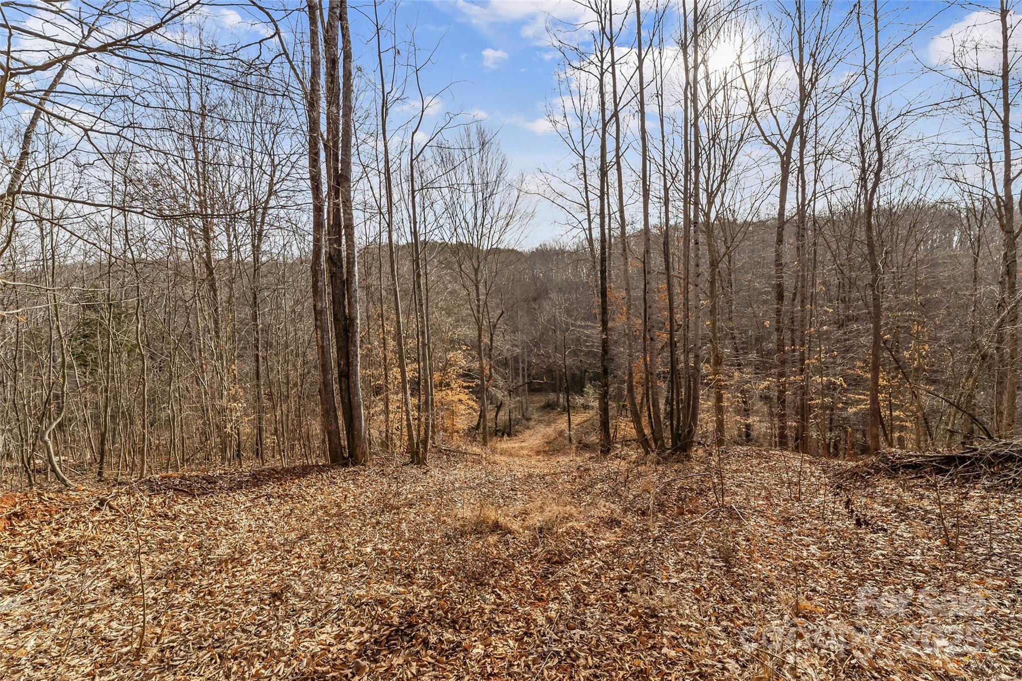 173 & 207 Deer Creek Trail Property Photo 7