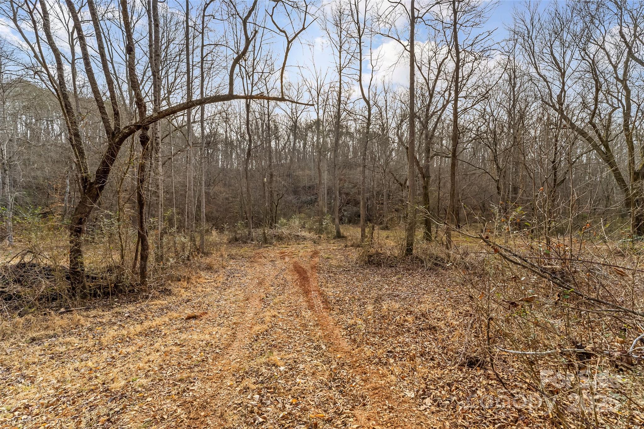 173 & 207 Deer Creek Trail Property Photo 8