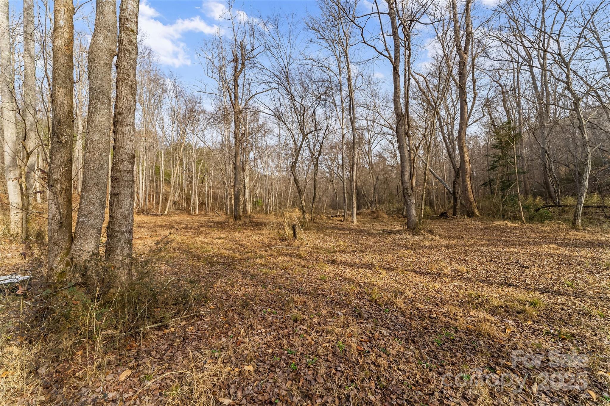 173 & 207 Deer Creek Trail Property Photo 9