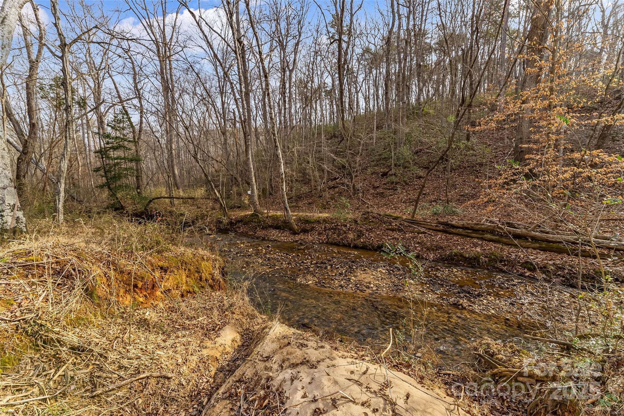 173 & 207 Deer Creek Trail Property Photo 10