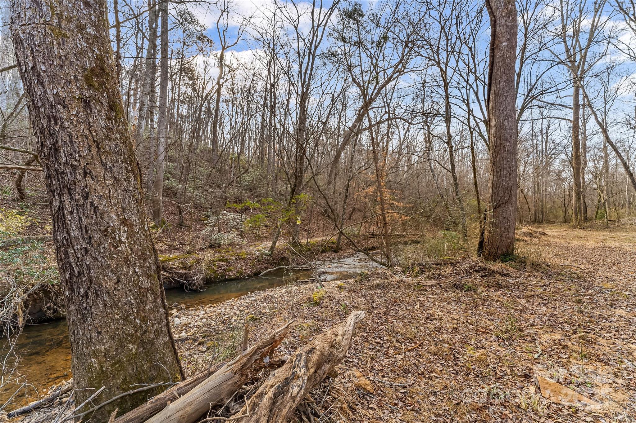 173 & 207 Deer Creek Trail Property Photo 12