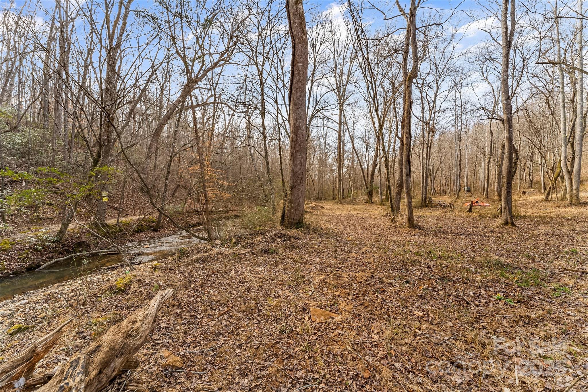 173 & 207 Deer Creek Trail Property Photo 13