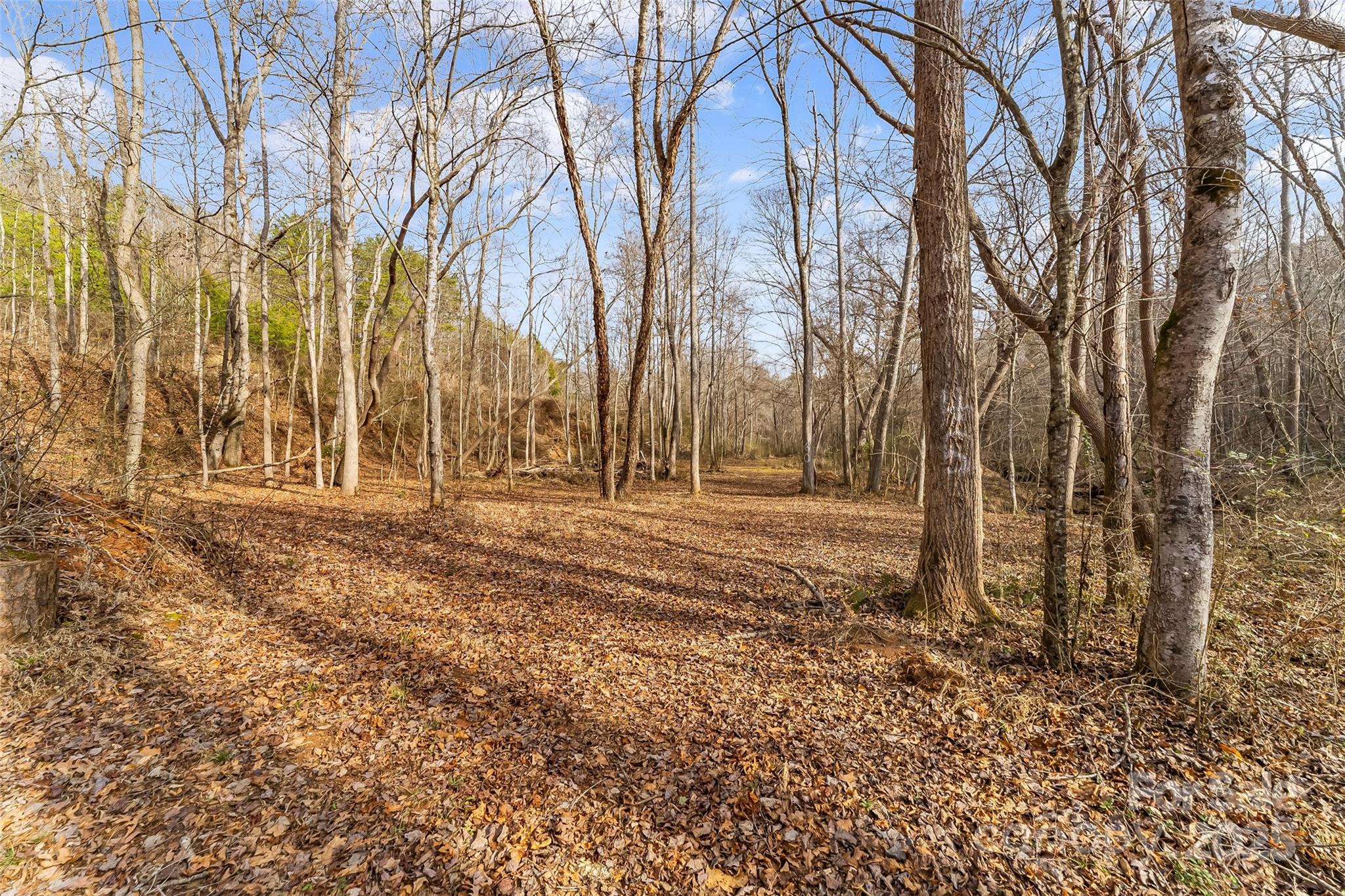 173 & 207 Deer Creek Trail Property Photo 14