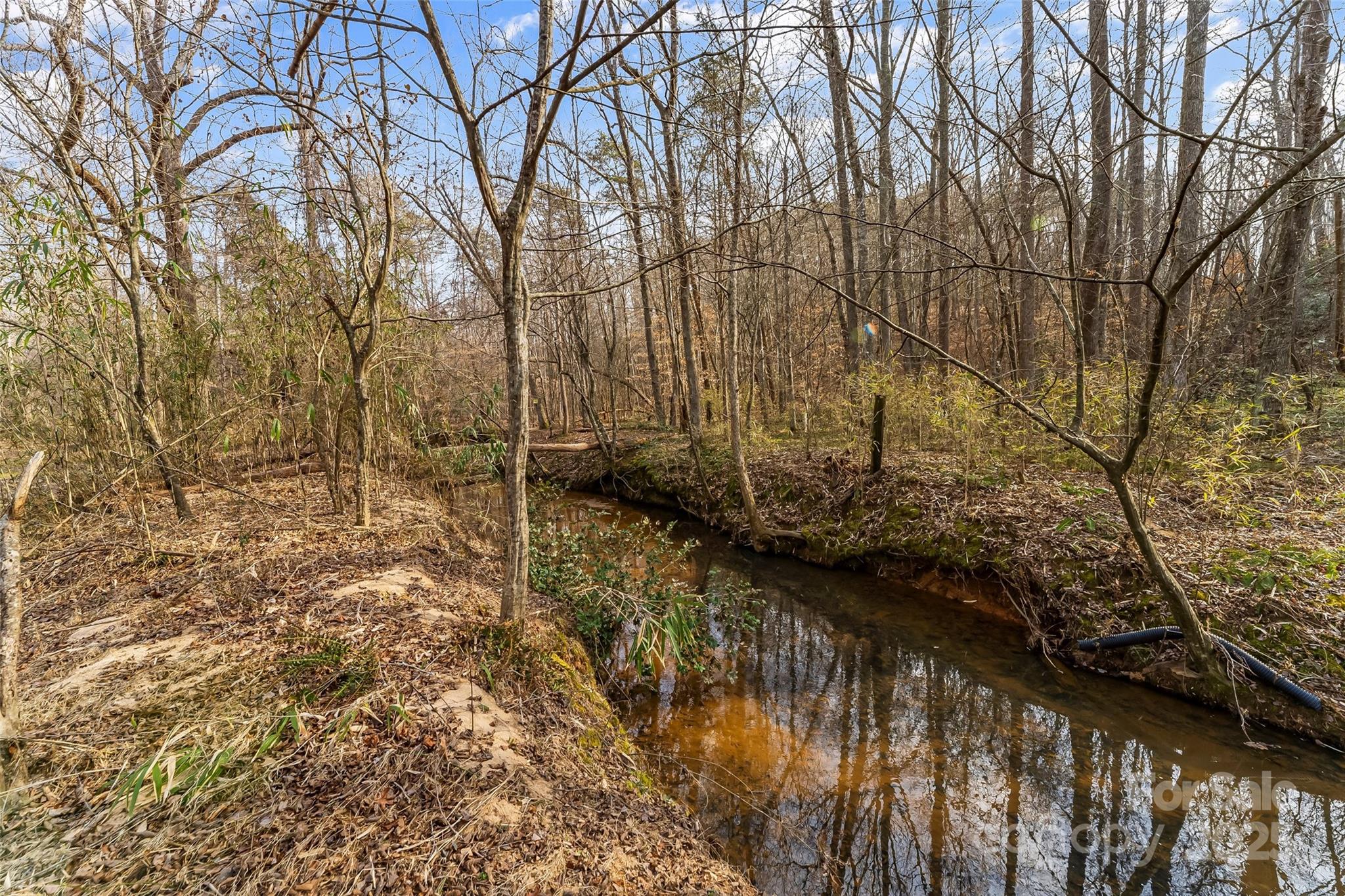 173 & 207 Deer Creek Trail Property Photo 15