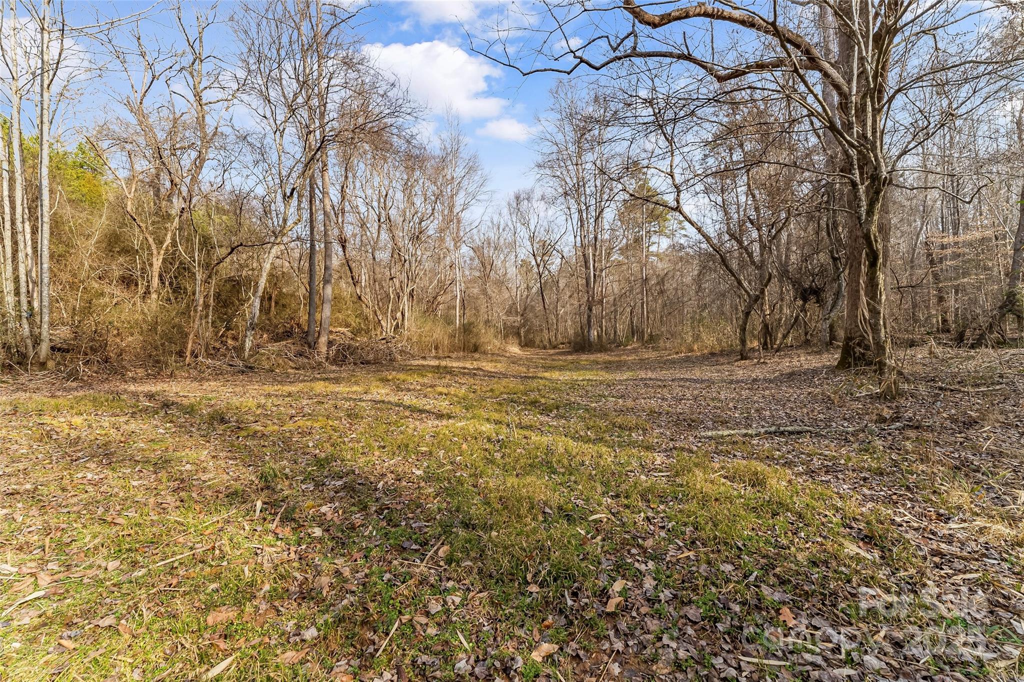 173 & 207 Deer Creek Trail Property Photo 16