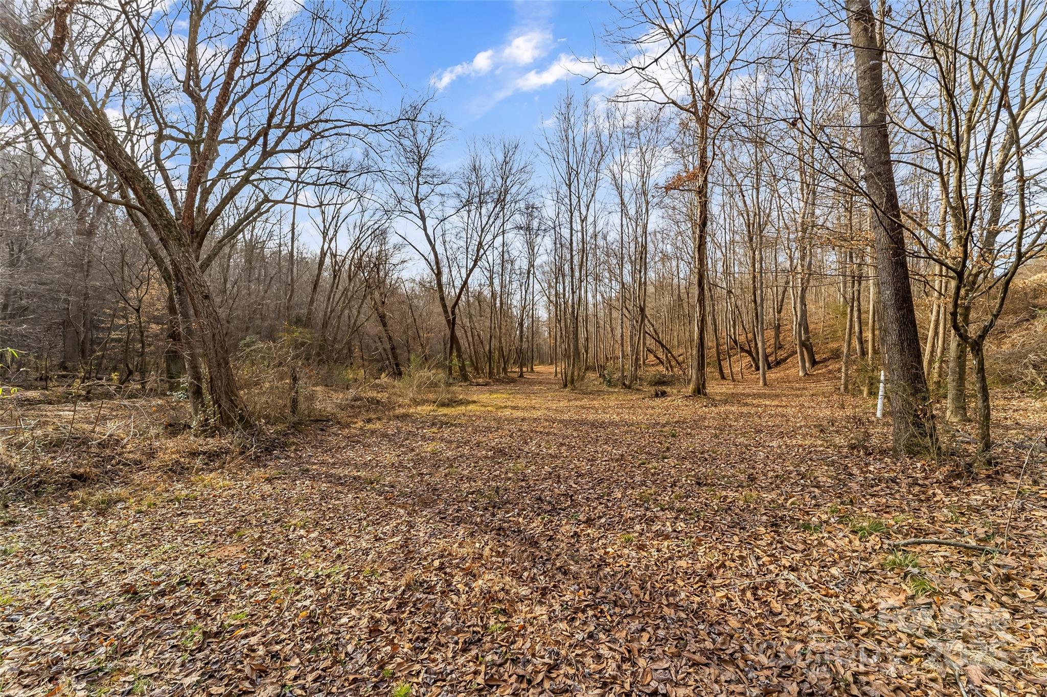 173 & 207 Deer Creek Trail Property Photo 18