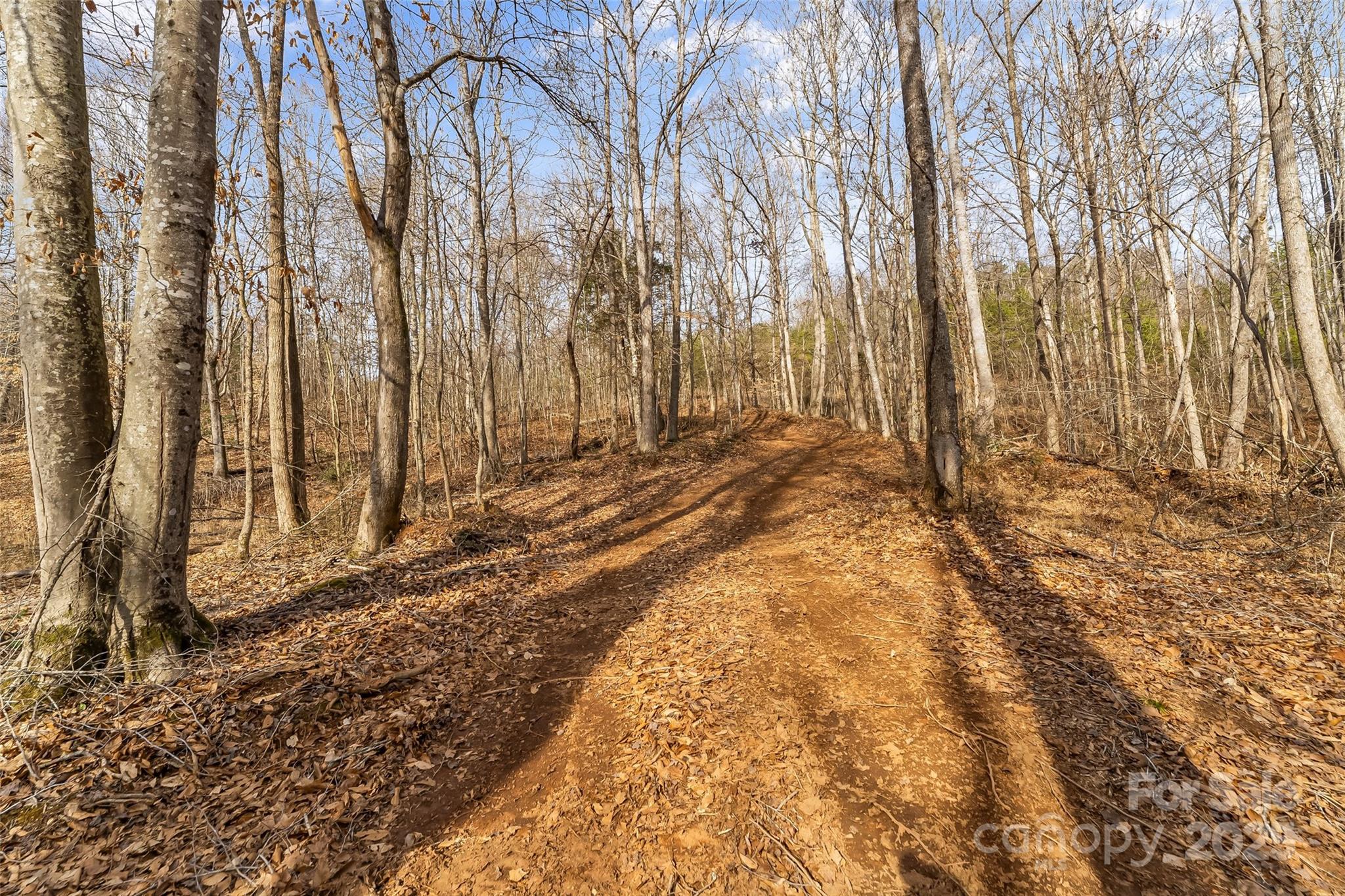 173 & 207 Deer Creek Trail Property Photo 19