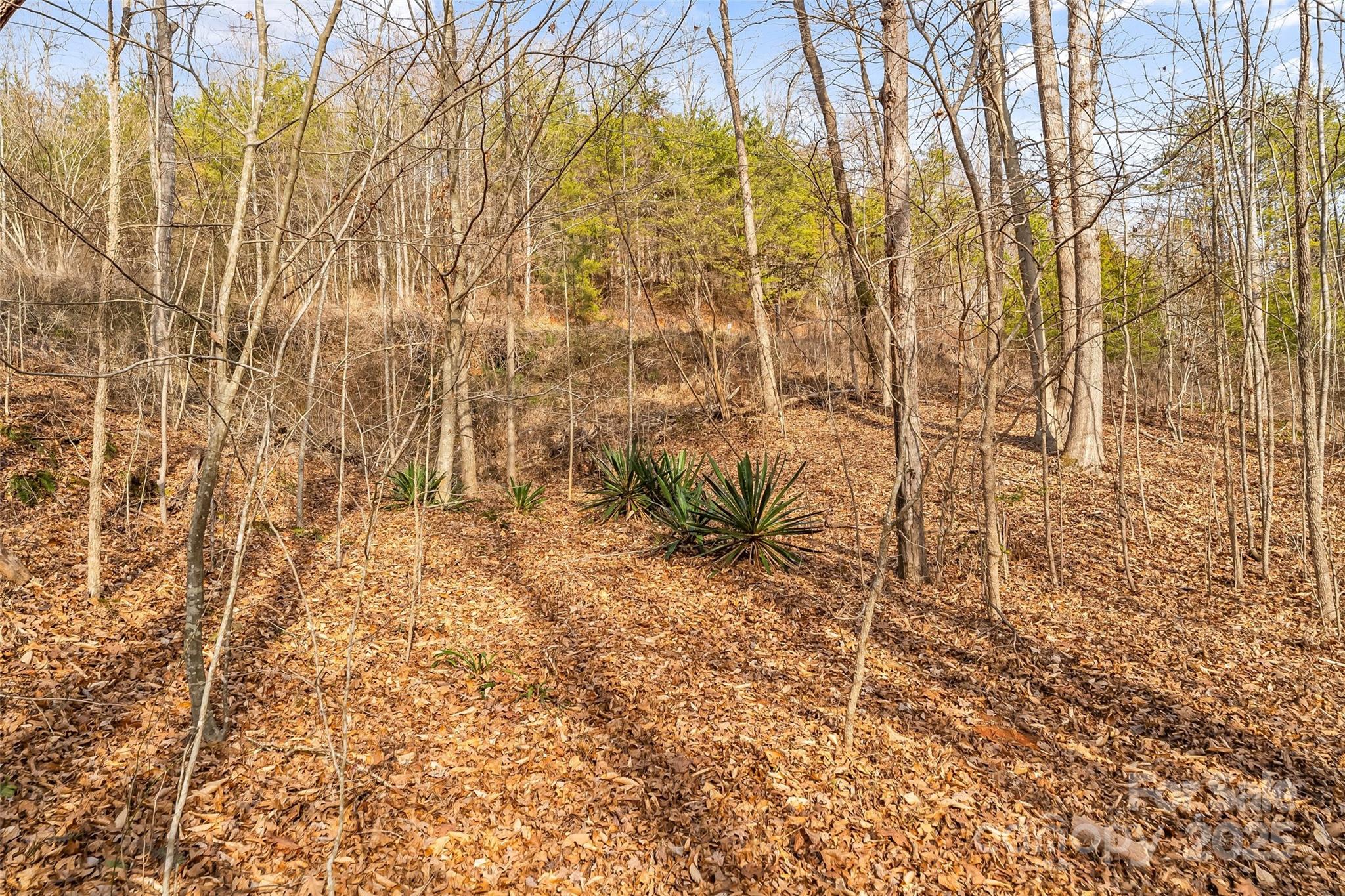 173 & 207 Deer Creek Trail Property Photo 20