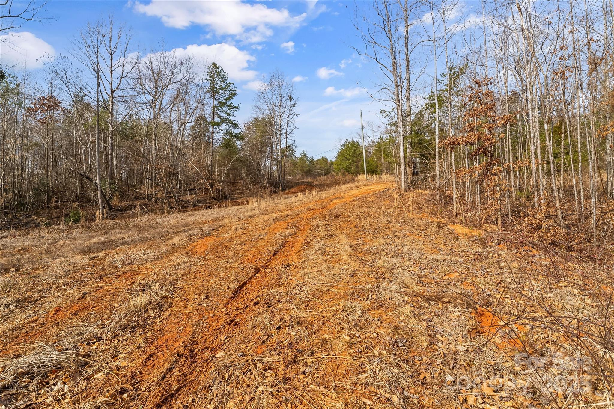 173 & 207 Deer Creek Trail Property Photo 21